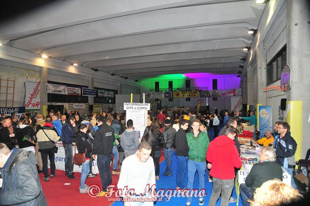 DSC_6464.jpg